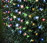 LED Rede de Luz Multicolorida (4.8m)