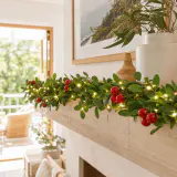 LED Guirlanda de Holly Fruta decorativa iluminada operada por bateria (3m)