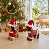 Dachshund de Natal (38cm)